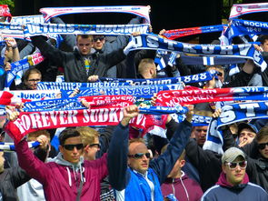 米兰体育APP-球迷文化盛宴：从欧洲到亚洲的足球狂欢，中国足球球迷文化