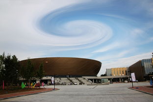 MILANSPORT下载-高校体育场馆智能运营系统设计研究，高校体育场馆现状