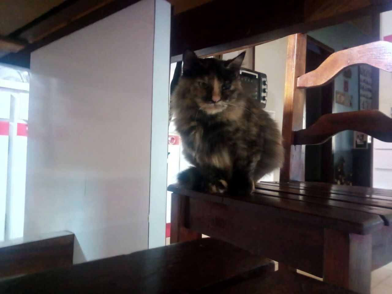 米兰体育-CBA计划引入降级制度港澳球队有望加入，cba计划引入降级制度港澳球队有望加入吗