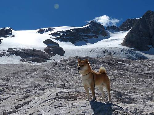 东亚杯中国足球逆袭 球员配合有明显提升,东亚杯国足成绩