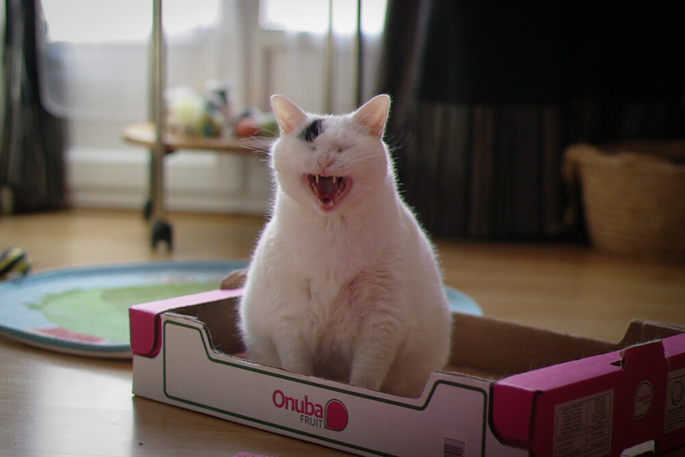 米兰体育APP-基层足球场地建设资金紧张，基层足球场地建设资金紧张问题