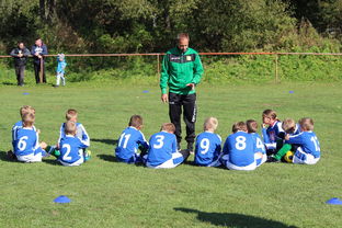 MILANSPORT下载-澳大利亚队如何通过团队赛制战术，在大赛中脱颖而出，澳大利亚队伍