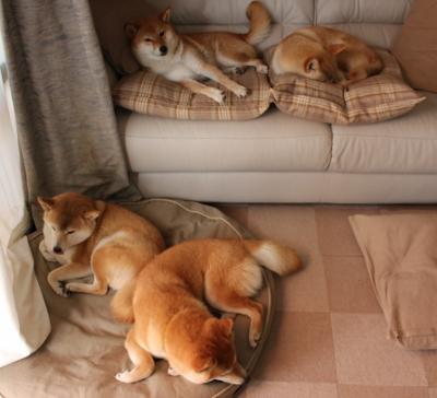 Milan Sports-男子篮球国家队加入速度与敏捷性训练提升转化效率，男子篮球国家队排名