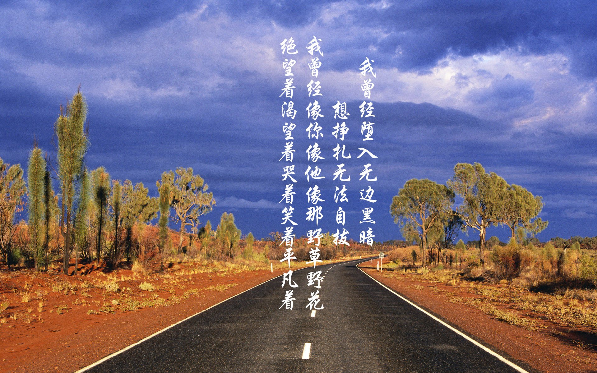 美洲杯明星盛放:场场精彩尽在掌握!,美洲杯有哪些明星