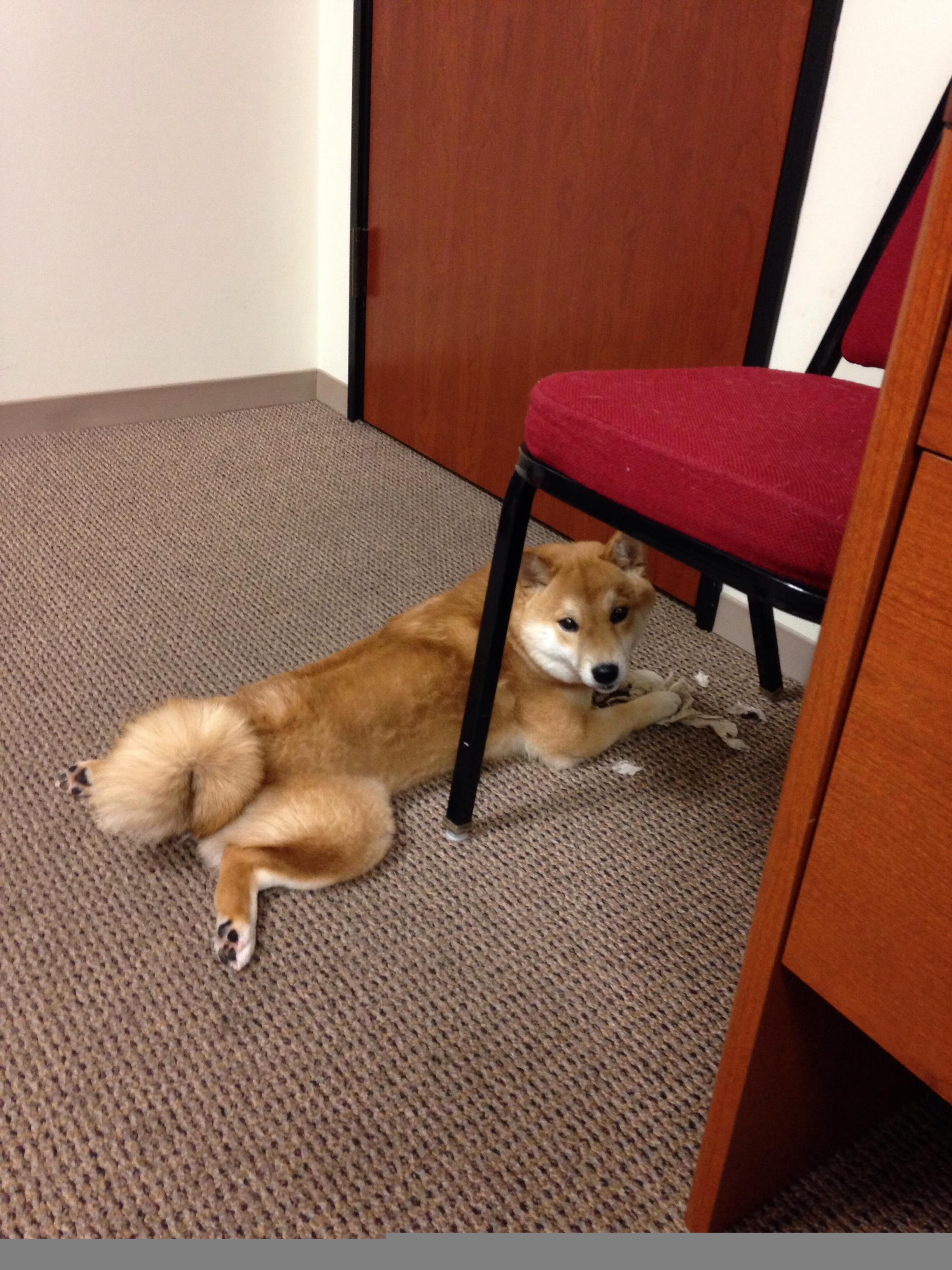 C罗牵手小球童16年后变同场对手，c罗和小球迷采访