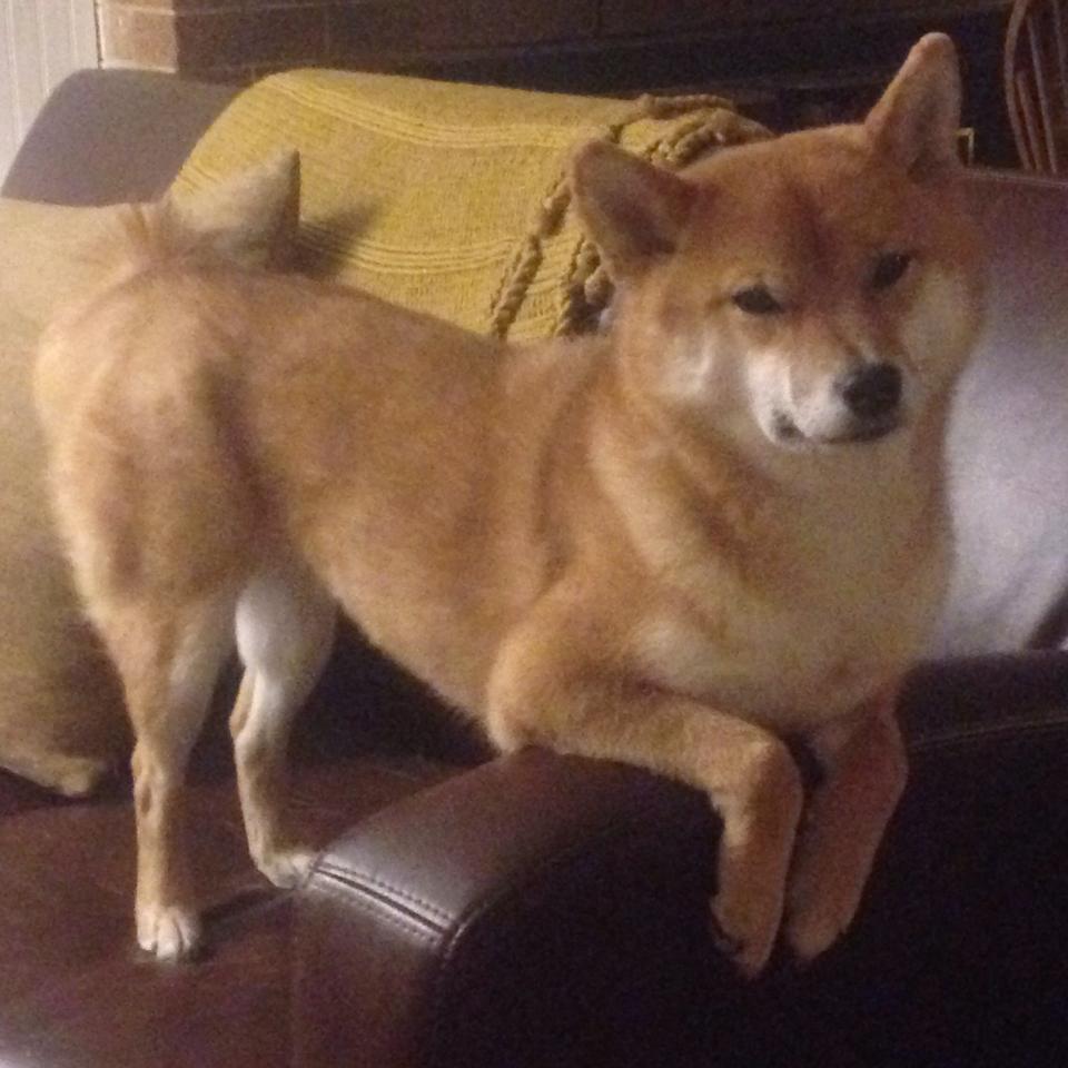 PSG阵型调整频繁影响战术稳定性